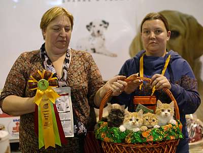 �������� �����  20-21 �������� 2014 ������������ ��� 6-126-169A1373 copy.jpg